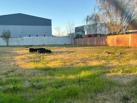 Lote General Rodriguez