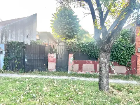 Soriano 1600