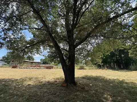 Terreno en Venta de 1947,0 m2