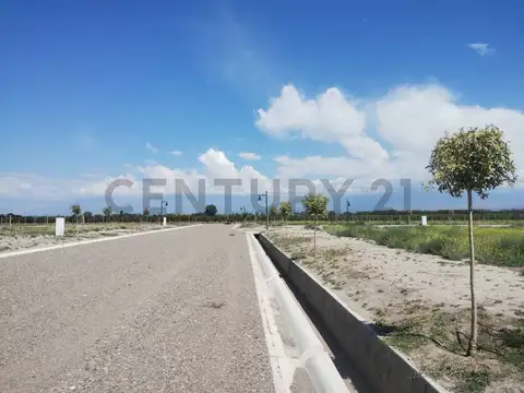 Terreno en Venta 40  mts Fondo