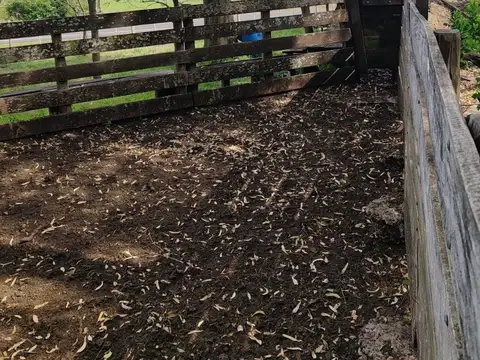 Espectacular Campo 90 has. Agrícolas en Paysandú