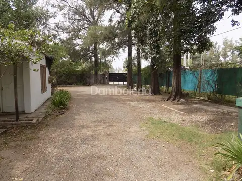 Arribeños 1600