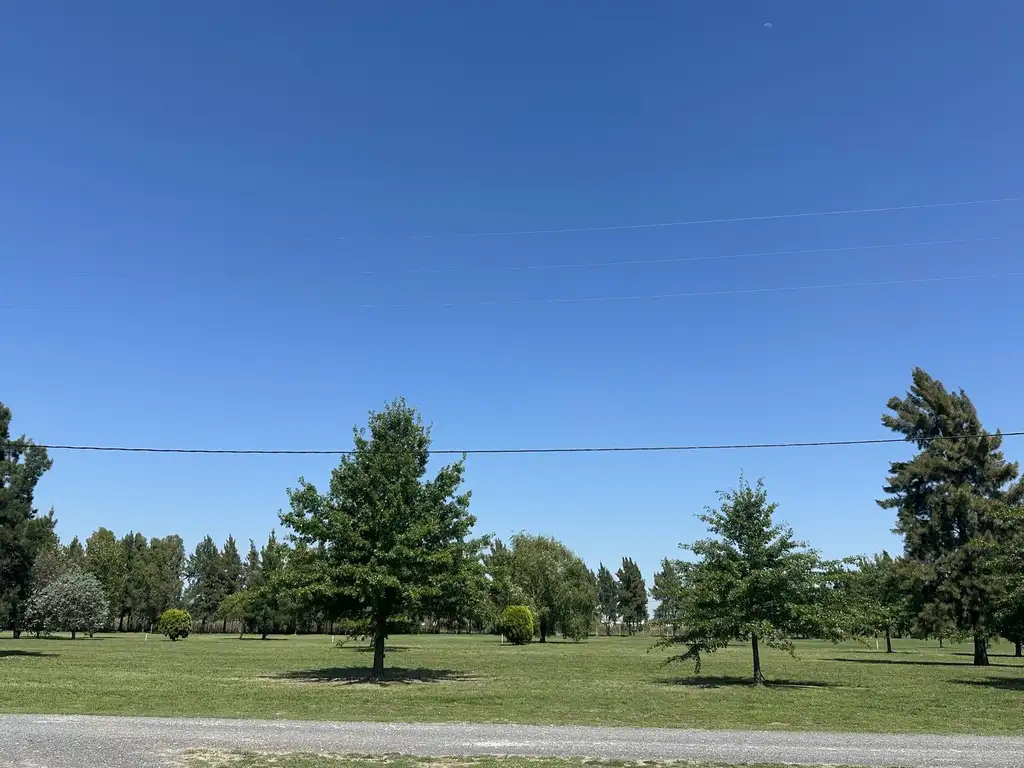 Terreno en Venta en Fincas de San Vicente