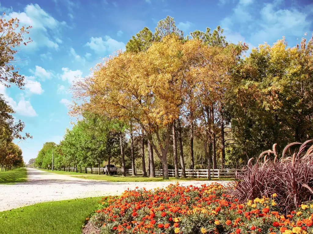 Terreno en Venta en Fincas de San Vicente