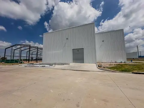 Gral Martín de Gainza  al 1900