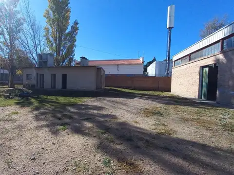 Salvador Segado 100
