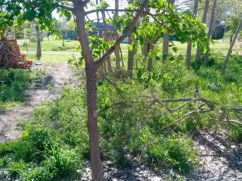 Martín Fierro y Calle 21 , Piso 0