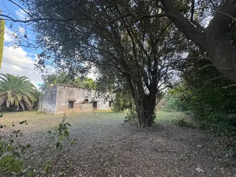 Terreno en Venta en Navarro, USD 119.000