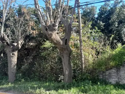 Terreno en Venta 65  mts Fondo