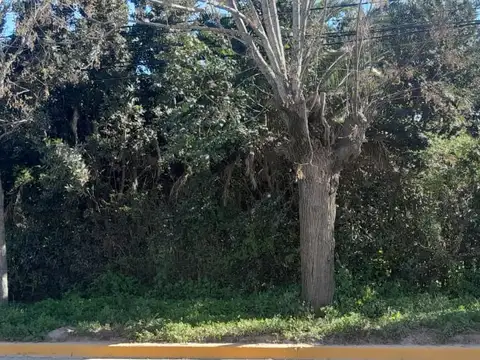 Terreno en Venta 46  mts Frente