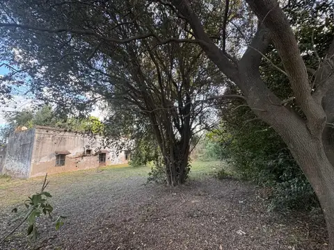 Terreno en Venta 46  mts Frente