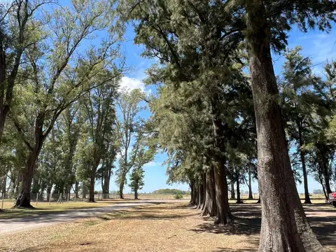 Terreno en Venta de 1000,0 m2