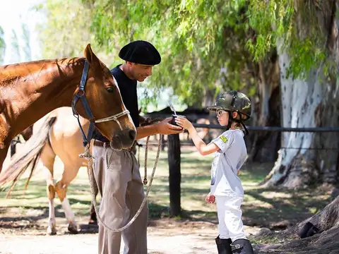 Terreno en Venta de 1031,0 m2