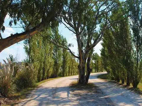 Terreno en Venta en Cañuelas, USD 52.000