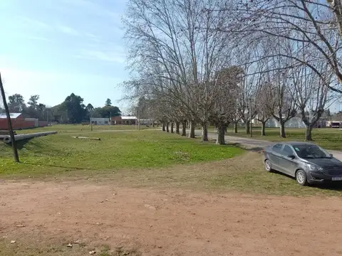 Juan Gálvez 100