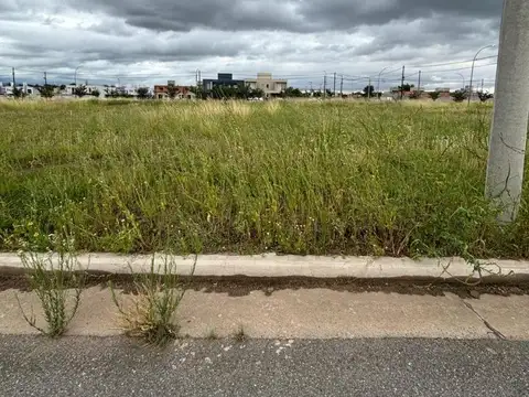 Terreno en Venta en Barrio Norte, USD 20.000