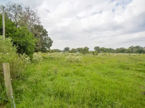 Terreno en Venta de 18000,0 m2