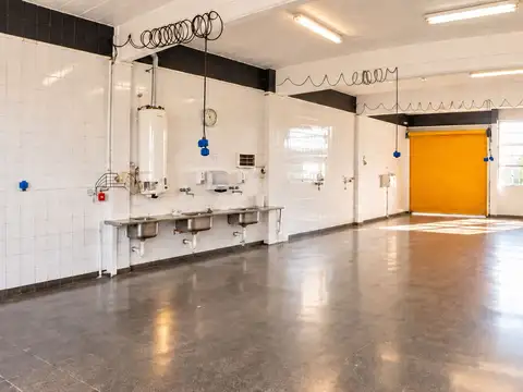 Planta alimenticia lista para producir 380420mts