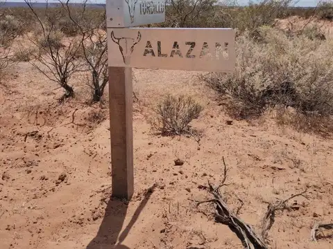 Terreno en Venta 100  mts Frente