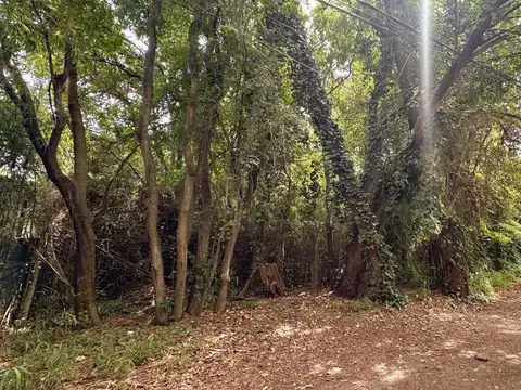 Lote único en La Horqueta, calle con vigilancia!