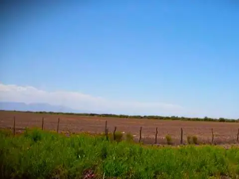 Ruta Provincial 308 Y FC BELGRANO