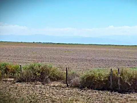 VENTA CAMPO INCULTO 310 HAS 25 DE MAYO