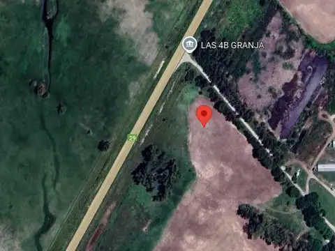 Campo venta -3 Hectáreas- Alegre