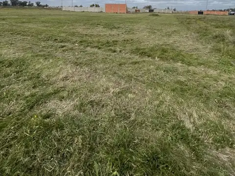 Terreno en Venta 18  mts Fondo