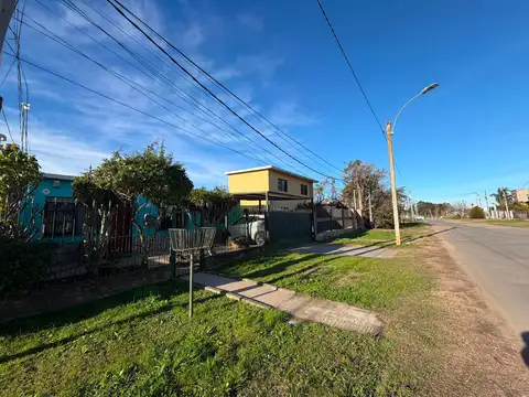 Ana María Janer 5600