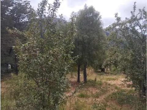 (014) LAGO PUELO (Isla Norte) Terreno 550 m2