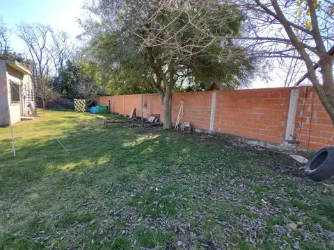Remedios al 5600