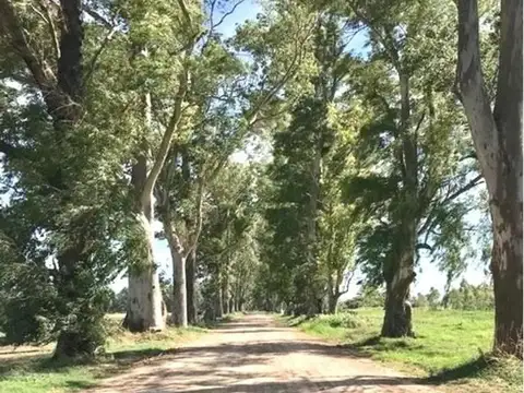 LOTES EN BARRIO CERRADO LOS TRES PINOS FINANCIACION