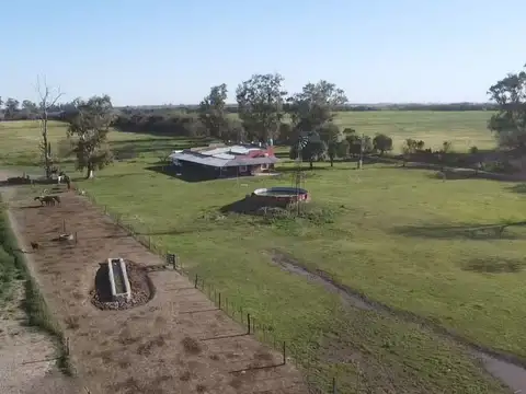 VENTA/CAMPO GANADERO/SOBRE RUTA/AURELIA