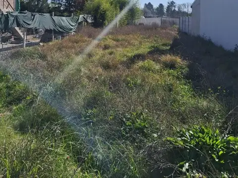 Terreno en Venta de 300,0 m2