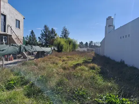 Terreno En La Lonja M134v