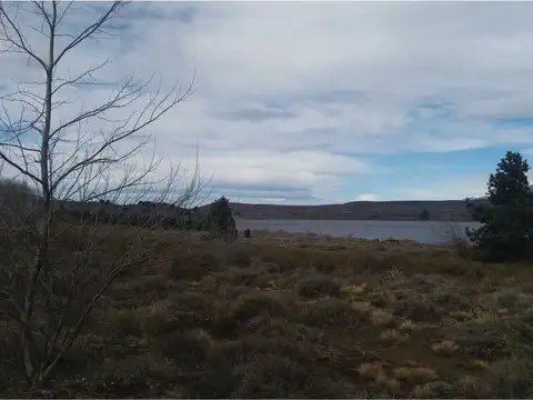 LOTE 6 – MANZANA 15c