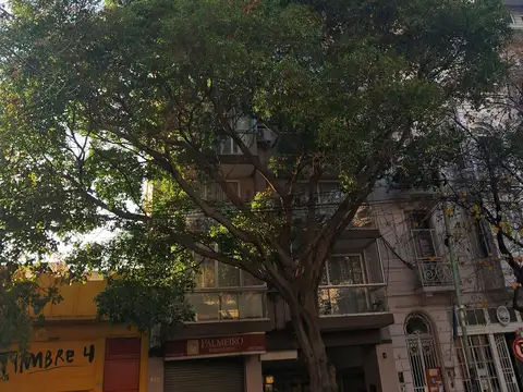 Departamento en Alquiler 12 años