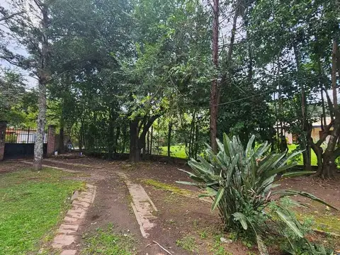 San Lorenzo. Miguel Cané 700
