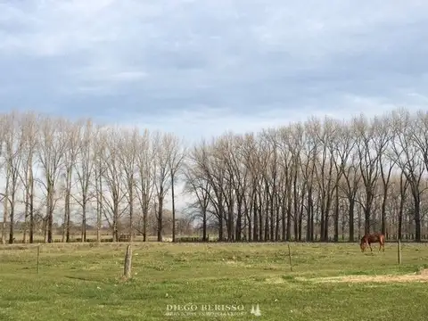 CHACRA EN LOS CARDALES
