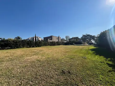 LAS LIEBRES  (   32996 )