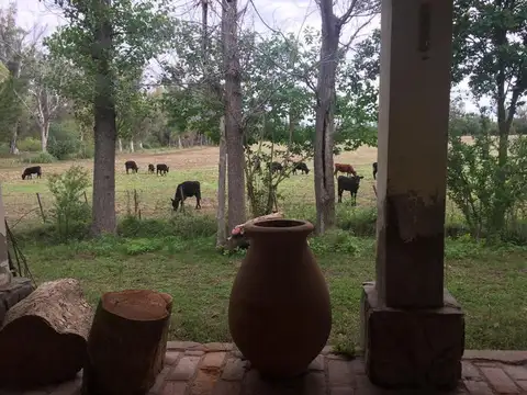 Campo en Venta Industrializacion