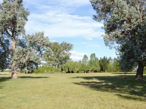 Campo - Venta - Argentina, Brandsen