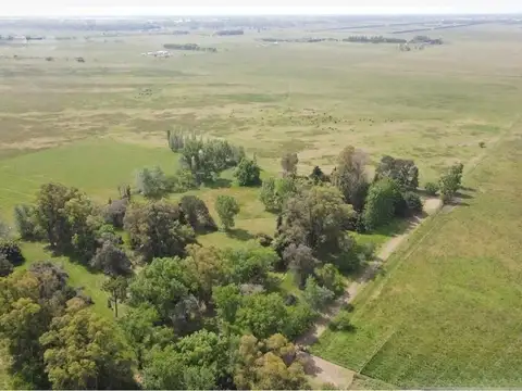 Campo - Venta - Argentina, Brandsen