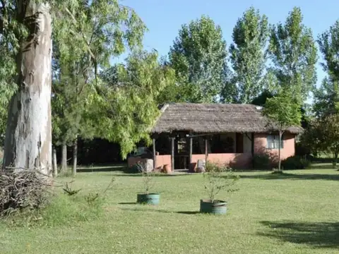 Campo - Venta - Argentina, Brandsen