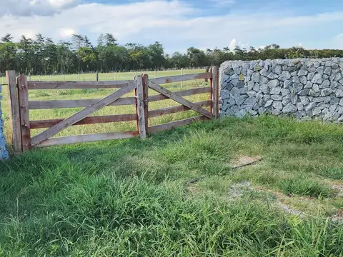 Terreno en Venta de 10000,0 m2