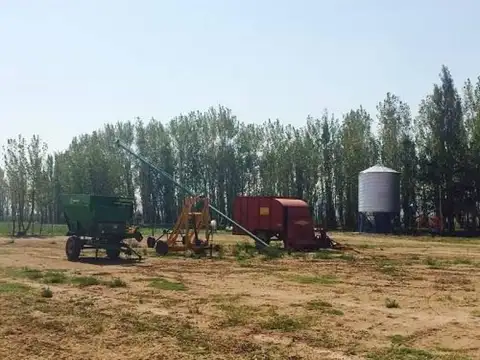 San Rafael, Mendoza 100