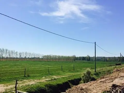 Casa Campo  en Venta en San Rafael,  Mendoza - BLA1952_LP535882_2