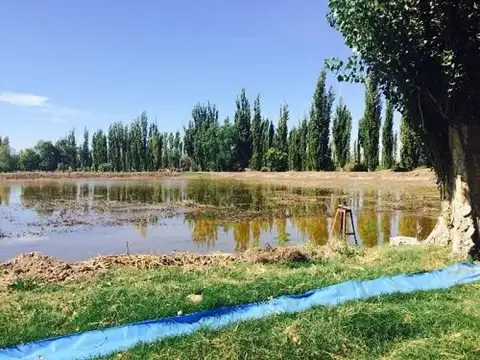 Casa Campo  en Venta en San Rafael,  Mendoza - BLA1952_LP535882_2