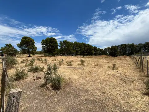 Terreno en Venta 40  mts Fondo