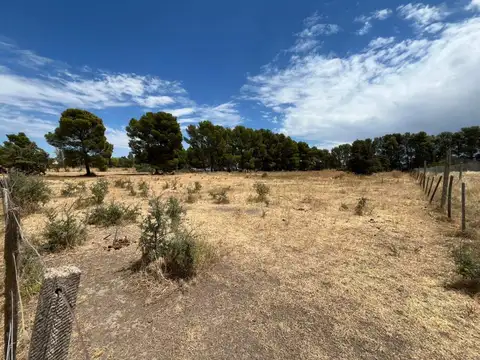 Terreno en Venta de 4000,0 m2